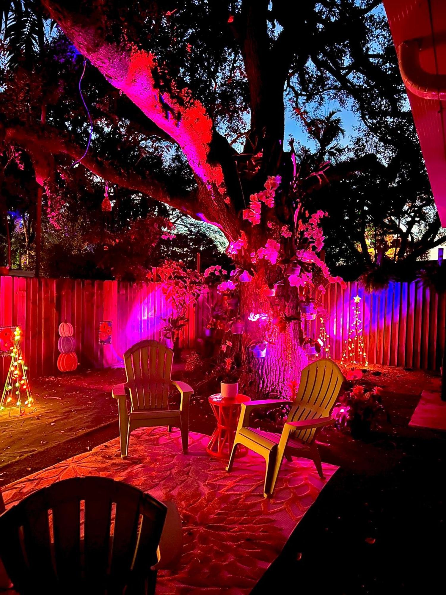 Private Guest House Miami Exterior foto